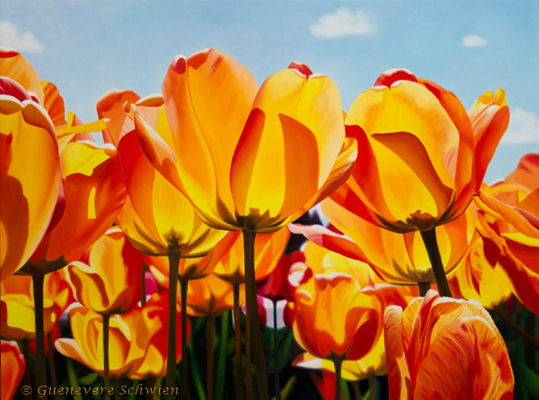 oil painting looking up from underneath of orange tulips under a light blue sky