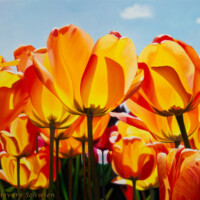 Oil on wood, 18" x 24"
SOLD oil painting looking up from underneath of orange tulips under a light blue sky